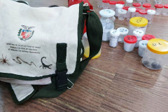 A Secretaria da Saúde do Paraná orienta a manter os ambientes limpos e organizados para evitar o aparecimento de animais peçonhentos, como aranhas, escorpiões, serpentes, que têm maior incidência em períodos de calor. Dados de 2018 indicam que no Paraná aconteceram mais de 18 mil acidentes com algum tipo de animal peçonhento.Foto: Divulgação/SESA
