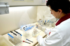 O Centro de Diagnóstico Marcos Enrietti, vinculado à Agência de Defesa Agropecuária do Paraná (Adapar), trabalha como apoio à defesa agropecuária do Paraná e realiza aproximadamente 100 mil exames por ano. Eles ajudam a manter a saúde animal e a sanidade vegetal de boa parte dos produtos consumidos no País e exportados.Foto: Divulgação/SEAB