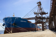 O Porto de Paranaguá faz nesta semana a segunda maior operação de granéis de sua história em um único navio. Serão 89 mil toneladas de farelo de soja, carregadas no Kang Xin Hai, que tem 254 metros de comprimento e segue para o porto de Amsterdã, na Holanda. A operação movimenta o equivalente a 3 mil caminhões de produto e o embarque durará sete dias.