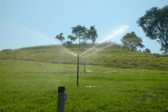Uso de tensiômetro garante eficiência da irrigação no campo. Foto: Divulgação/Emater