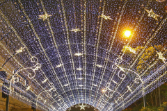 Festas de Natal já iluminam muitas cidades do Paraná. Curitiba. Foto: José Fernando Ogura/AEN
