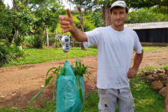 O trabalho do Instituto Emater com produtores da região de Francisco Beltrão trouxe um aumento médio de 35% na produção diária de leite por vaca, o que representa quase 3 mil litros a mais por mês em cada propriedade. O incremento na renda das famílias foi significativo e houve ainda redução do custo de produção. Foto: Emater