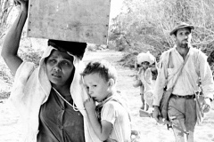 Comemoração aos 50 Anos do MIS-PR tem programação cultural diversificada em dezembro. Foto:MIS