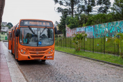 Ajustes em linhas de Pinhais reduzem tempo de trajeto quase pela metade. Foto: Comec