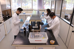 Tecpar apoia estudos pioneiros na área ambiental. Foto: Tecpar