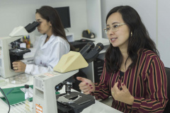 Pesquisadores da UEM desenvolvem teste rápido e seguro contra a dengue. Foto: UEM