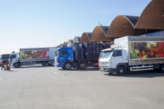 As Ceasas de Maringá e Londrina estarão abertas neste domingo, dia 29 de dezembro. Os mercados também atenderão normalmente nos dias 30 e 31 de dezembro, segunda e terça-feira.
Foto: AEN