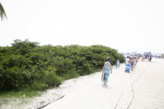 O manejo da restinga no Litoral do Paraná, iniciado nesta última semana, atende uma demanda da população e das prefeituras, e permite maior controle sanitário e de segurança nas cidades que recebem mais turistas durante o verão