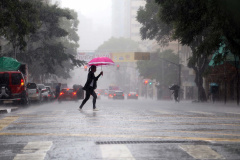 Risco de leptospirose cresce nos períodos de chuvas itensas. Foto: Gilson Abreu/AEN