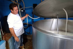 Além de complementar a alimentação de 118 mil crianças que recebem gratuitamente um litro de leite enriquecido por dia em todo o Paraná, o programa Leite das Crianças é um dos grandes responsáveis por fomentar a pecuária leiteira no Estado. Foto: SEAB