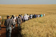 Trajetos em meio à natureza, passando por propriedades rurais e destinos que muitas vezes fogem do radar dos turistas dão o tom das Caminhadas Internacionais na Natureza, que já têm 160 circuitos confirmados neste ano no Paraná.  Foto: Emater/Campo Mourão