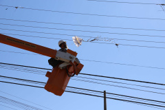 Copel alerta para os perigos de pipas perto da rede elétrica.