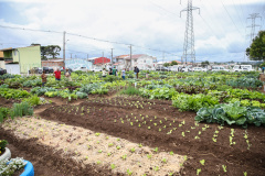 Inauguração da Horta Comunitária Moradias Marumbi do programa da Secretaria de Estado da Agricultura e do Abastecimento,  nesta quinta-feira (16), no bairro Uberaba, em Curitiba
