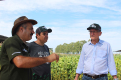 O secretário estadual da Agricultura e do Abastecimento, Norberto Ortigara, participou nesta quarta-feira (29), em Cambé, do 19º BelaSafra 2020, evento da Belagrícola que está apresentando as últimas tecnologias para maximizar a produtividade no campo. O diretor-presidente da Agência de Defesa Agropecuária do Paraná (Adapar), Otamir Cesar Martins, e o deputado estadual Tiago Amaral, também estiveram no evento. Foto: SEAB