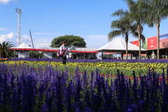  Foto: Rodrigo Félix Leal/ANPr