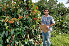 O Instituto de Tecnologia do Paraná (Tecpar) ampliou sua atuação na certificação de produção de orgânicos no Brasil em 2019. Atualmente 615 produtores rurais de sete estados têm a certificação de orgânicos concedida pelo Tecpar Certificação.  -  Curitiba, 13/02/2020  -  Foto: Divulgação Tecpar
