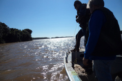 A Secretaria de Estado do Desenvolvido Sustentável e do Turismo divulga nessa sexta-feira (21), em Diário Oficial, a Resolução Sedest nº 13/20 que estabelece o novo período de defeso de espécies nativas de peixes nas bacias da União. A piracema passa a ser do dia 1º de outubro a 1º de fevereiro. Antes o prazo finalizava no dia 28 de fevereiro.  -  Curitiba, 21/02/2020  -  Foto: Divulgação SEDEST