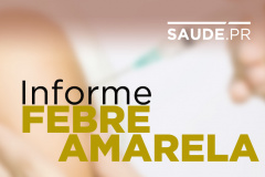 Novo boletim da febre amarela confirma mais oito mortes de macacos