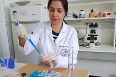 Um estudo feito por pesquisadores da Universidade Estadual de Londrina (UEL) mostrou que o Bisfenol A (BPA) pode ser o responsável pelo crescente número de indivíduos do sexo masculino, em idade reprodutiva, com problemas de infertilidade.Foto: UEL