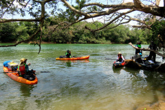 O Rio Paraná vai ganhar a Rota dos Pioneiros. O rio que dá nome ao Estado sempre foi uma importante rota de navegação. Ao longo dos séculos, indígenas, espanhóis, jesuítas, bandeirantes e migrantes de diferentes nacionalidades atravessaram as águas do Rio Paraná para encontrar em suas margens terras férteis para viver, explorar e conquistar.Foto: Divulgação/Rota dos Pioneiros