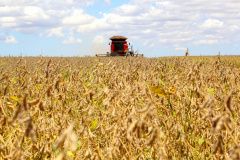 VBP agropecuário do Paraná de 2019 pode atingir R$ 93 bilhões. Foto: Jaelson Lucas/AEN