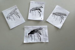 Escolas do Paraná realizam ações de combate à dengue. Foto:SEED
