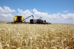 Estudo com metodologia pioneira feito pelo Ipardes, órgão vinculado à Secretaria de Estado do Planejamento e Projetos Estruturantes, leva em conta os insumos, a agroindústria, os serviços e a agropecuária propriamente dita.