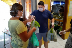 As mudanças de atitude da sociedade provocadas pelo novo coronavírus não paralisaram as atividades de associações de produtores rurais, responsáveis pela alimentação, sobretudo de famílias mais carentes. O comprometimento também mantém em atividade centenas de servidores estaduais que ajudam na tarefa de forma presencial ou em teletrabalho. Foto:SEAB