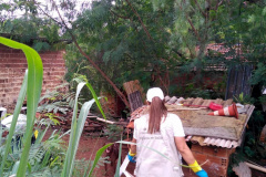 Paraná registra 57 óbitos e mais de 76 mil casos por dengue. Foto: Defesa Civil