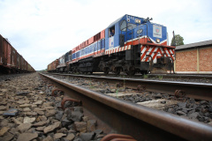 Governo estuda estender ferrovia entre Oeste e Porto de Paranaguá. Foto: Jaelson Lucas/AEN