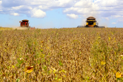 Paraná deverá produzir 41,2 milhões de toneladas de grãos. Fotos:Jaelson Lucas / AEN
