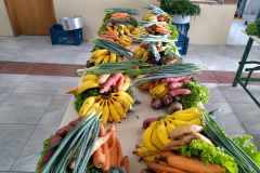 Compra Direta Paraná tem prazo prorrogado.Foto:SEAB