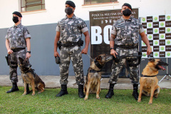 Lótus, Kira e Loba viveram uma grande história na Companhia de Operações com Cães (COC) do Batalhão de Operações Especiais (BOPE) ao longo de quase 9 anos de atividade