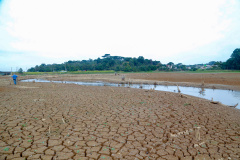 Estudo técnico mostra que estiagem pode comprometer safra de inverno. Foto:Gilson Abreu/AEN