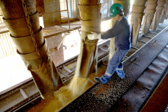 Paraná é o estado do Sul que menos perdeu postos de trabalho. Foto: Jaelson Lucas/AEN