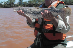 Pesca está liberada nas represas e lagos do Estado. Foto:SEDEST