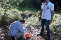 Prevenção contra a dengue deve ser mantida mesmo com a chegada do inverno. Foto:SESA