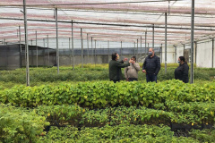 O Instituto Água e Terra, vinculado à Secretaria de Estado do Desenvolvimento Sustentável e do Turismo, distribui gratuitamente mudas de mais de 100 espécies nativas para todo o Estado. Entre elas estão araucária, jabuticaba, canela, peroba, imbuia e erva-mate, que formam parte da vegetação existente no Paraná. Apenas no ano passado foram cerca de 1,6 milhão de unidades.

Foto:IAT