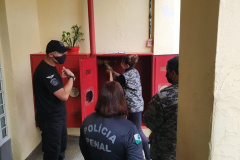 Protocolo de combate a incêndios é implementado em unidades prisionais de Curitiba e Região Metropolitana
 Foto:Depen