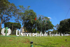 UEL aprova retomada do calendário de graduação com atividades remotas a partir de 29 de junho. Foto: Jaelson Lucas/AEN