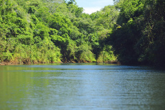 Foto: Denis Ferreira Netto / Sedest
