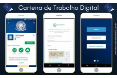 Trabalhadores podem solicitar seguro-desemprego e consultar vagas de trabalho pela internet durante a pandemia
. IMAGEM:SEJUF