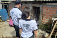 PCPR resgata cerca de 400 animais no primeiro semestre de 2020
. Foto:PCPR