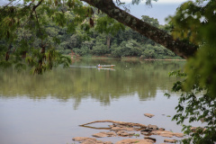 O Instituto Água e Terra, por meio da Portaria nº 200/2020, libera a partir dessa
sexta-feira (3) a pesca em todo o território paranaense. As bacias dos rios Ivaí,
Piquiri, Cinzas, Tibagi, Pirapó, Laranjinha, São Francisco Falso e Verdadeiro,
Jordão, e todos seus afluentes diretos, não estão mais restritos. Foto: Geraldo Bubniak/AEN