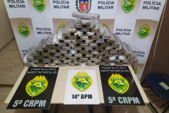 A Operação Metrópolis, ação conjunta entre as forças de segurança da região Oeste, resultou em 281 prisões e 61 mandados de Prisão cumpridos, além de 3,9 toneladas de drogas e 25 armas de fogo retiradas de circulação, entre os dias 26 de junho até esta segunda-feira (06/07). Foto:SESP
