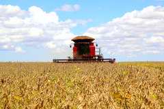 BRDE terá R$ 460 milhões para financiar safra agrícola paranaense. Foto: Jaelson Lucas/AEN