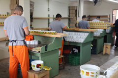 SESP recebe Selo Nacional de Responsabilidade Social pelo Trabalho no Sistema Prisional
. Foto:SESP