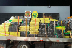 Com ajuda de cães, PM apreende mais de 38 toneladas de maconha
. Foto:SESP