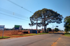 Parque Urbano de Terra Rica. Foto:SEDEST