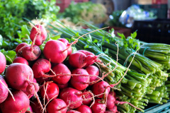 Paraná lidera adesões a sistema de segurança alimentar e nutricional. Foto:Arnaldo Alves/AEN